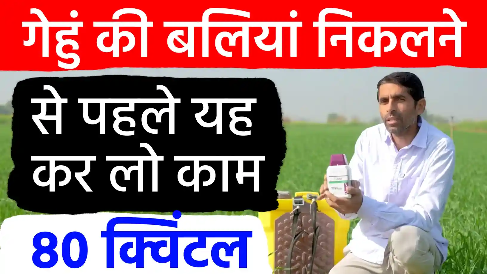 गेहूं की खेती: बालियां निकलने से पहले अपनाएं यह 'चमत्कारी फॉर्मूला